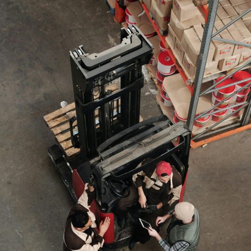 pexels-tiger-lily-4483558