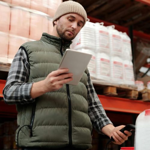 pexels-tiger-lily-4484047